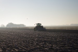 trekker foto in februari 2017 (2)